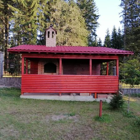 Casa De Vacanta Pârâul Rece Esterno foto