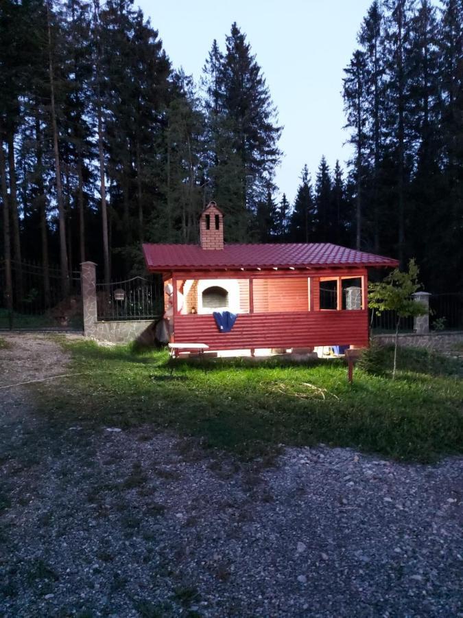 Casa De Vacanta Pârâul Rece Esterno foto