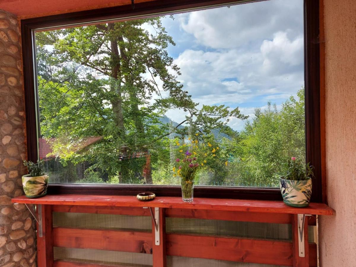 Casa De Vacanta Pârâul Rece Esterno foto