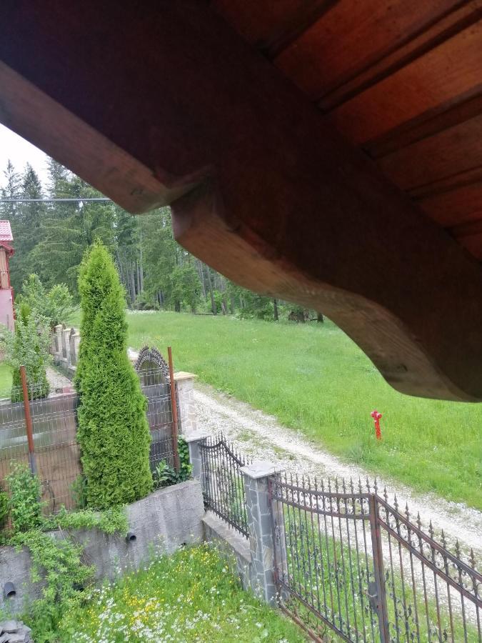 Casa De Vacanta Pârâul Rece Esterno foto