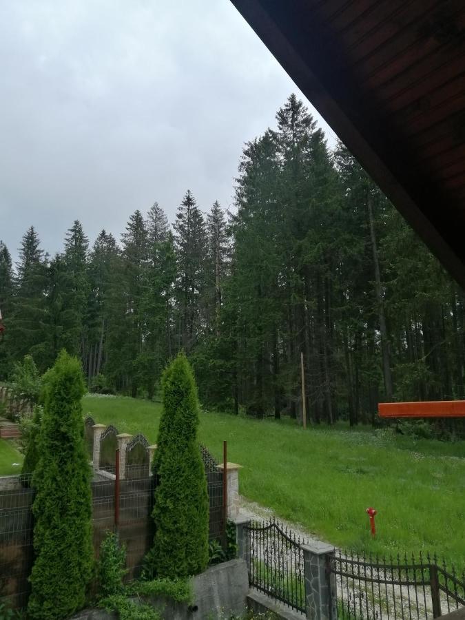 Casa De Vacanta Pârâul Rece Esterno foto