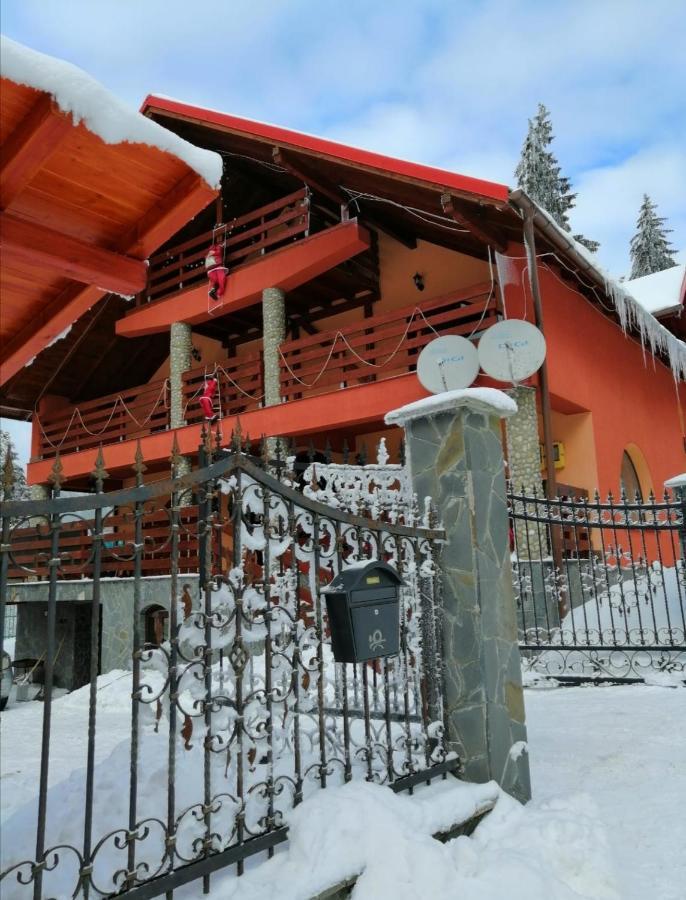 Casa De Vacanta Pârâul Rece Esterno foto