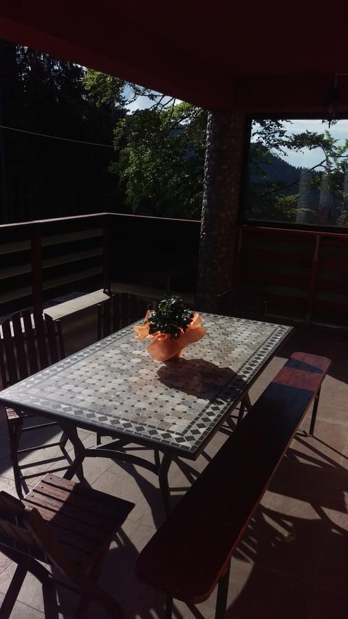 Casa De Vacanta Pârâul Rece Esterno foto